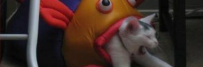 paulisszz's profile banner image