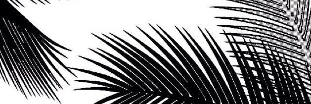 AyoItsAri's profile banner image