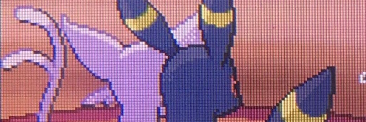 lainey4prez's profile banner image
