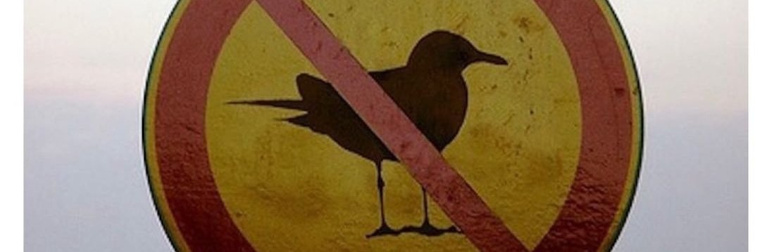 Freshlysquashed's profile banner image