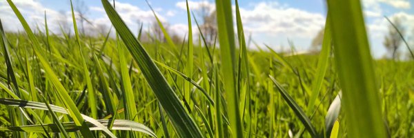 haysngraze Profile Banner