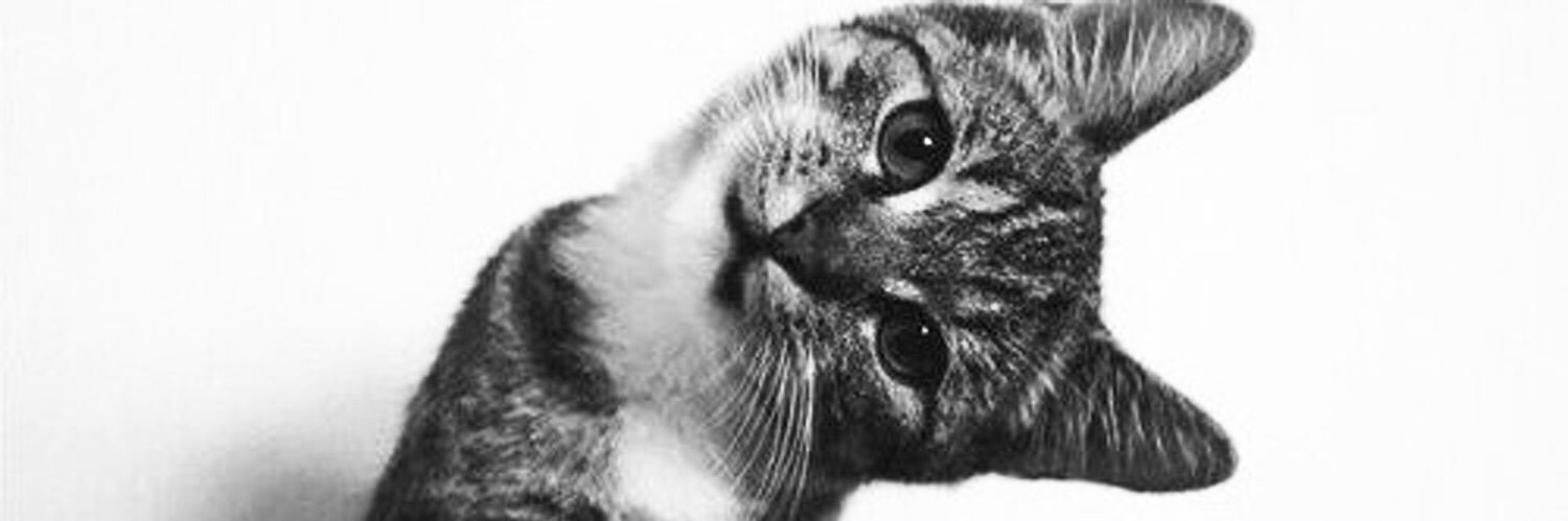BOODY199422's profile banner image