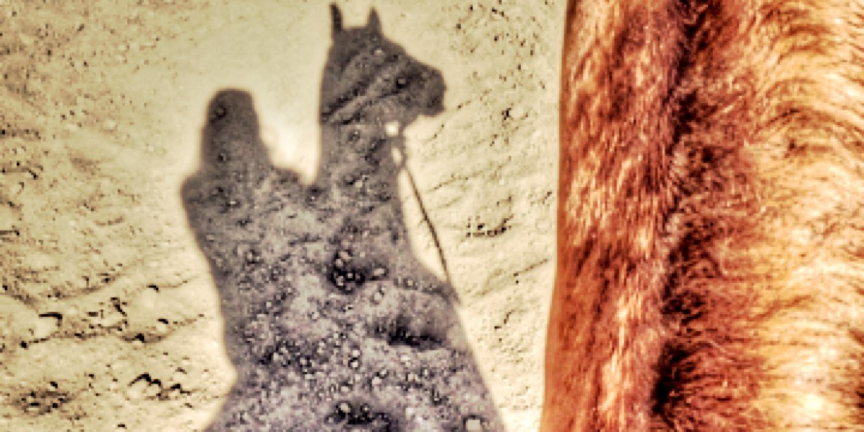 xxxxlorena's profile banner image
