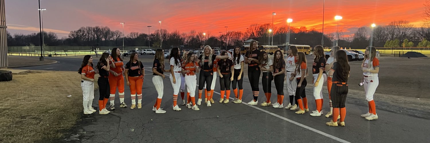 DCHS Softball banner