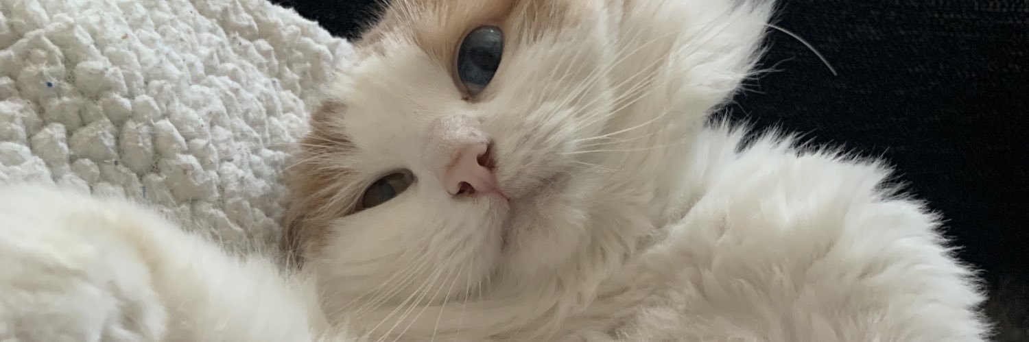 tortt's profile banner image
