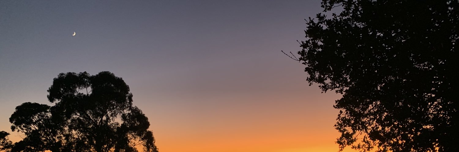 CAMandGRITS's profile banner image
