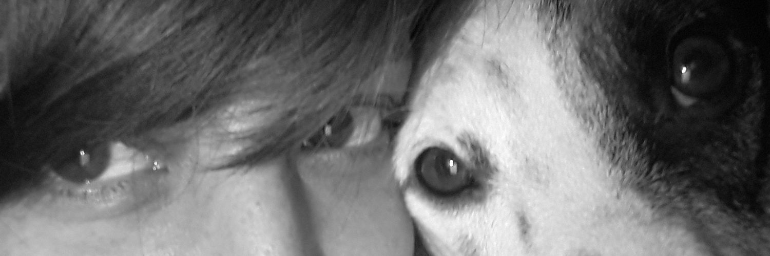 Sil_BZz's profile banner image