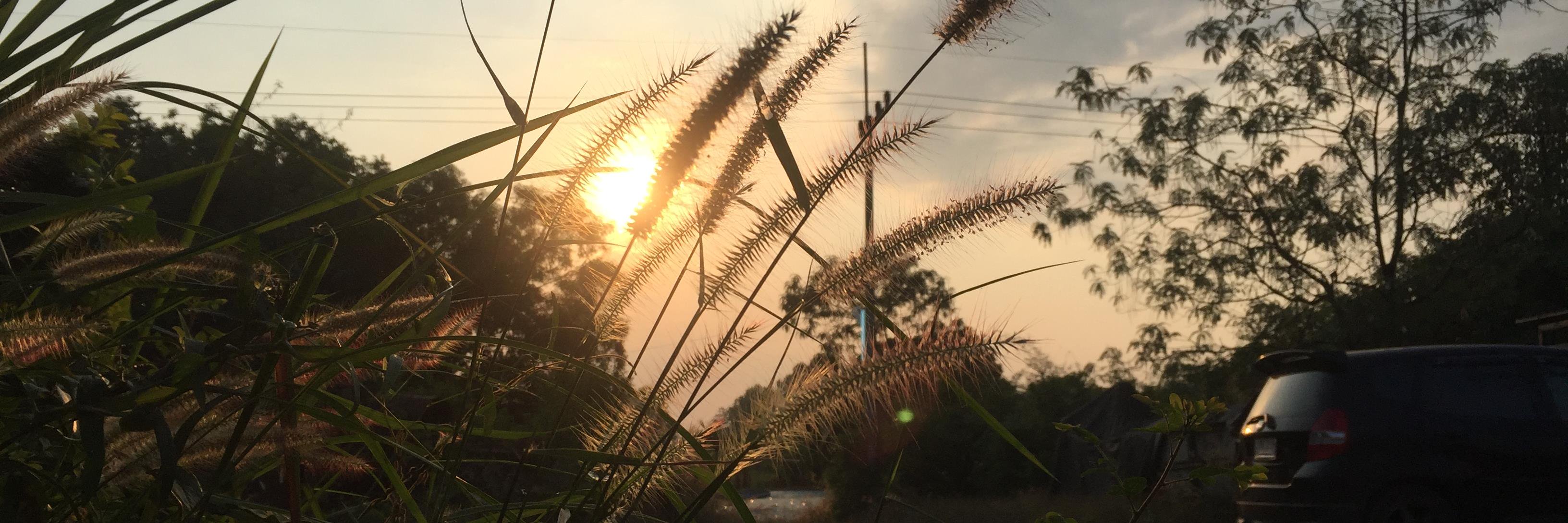 natawat16's profile banner image