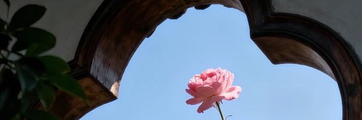 iii0_II89's profile banner image