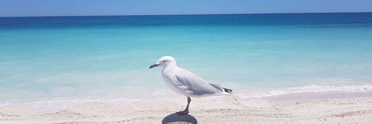abuayeh's profile banner image