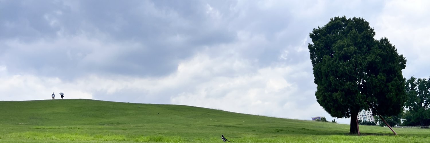 stevesun21 banner