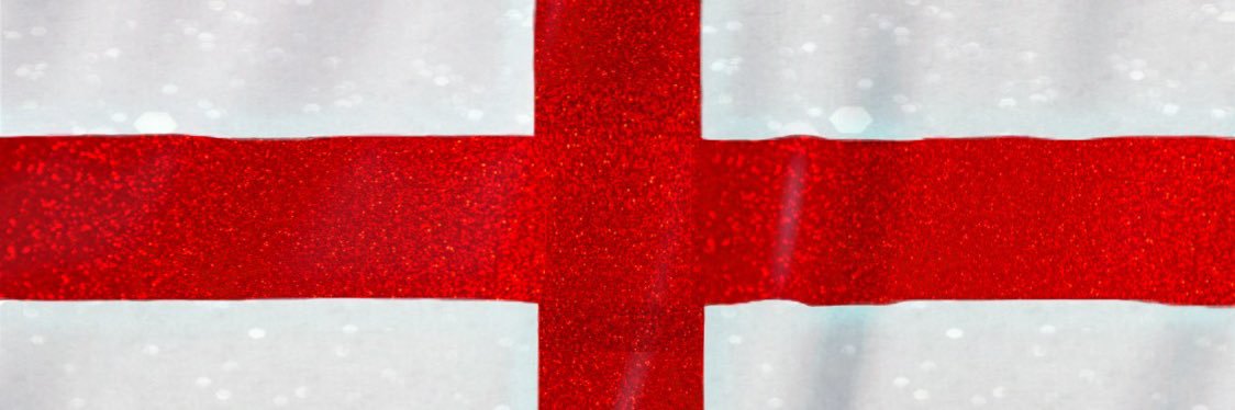 Terrianne banner