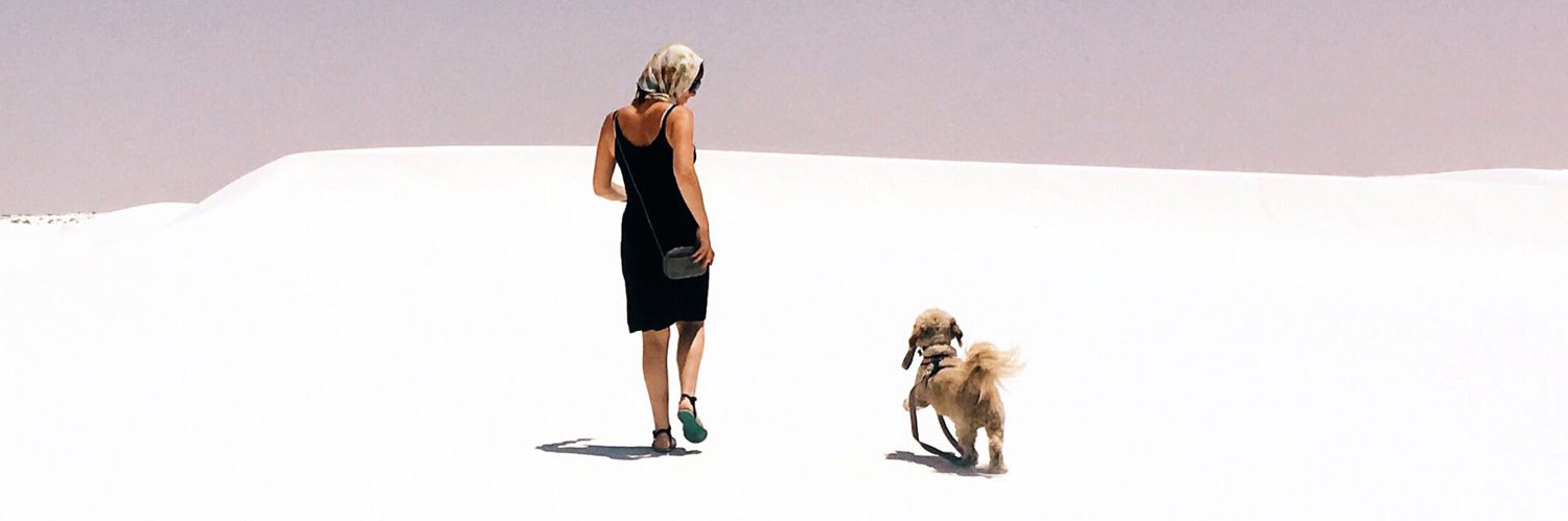 bexfinch's profile banner image
