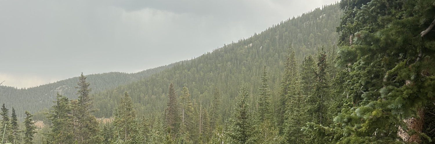 blueoreog's profile banner image