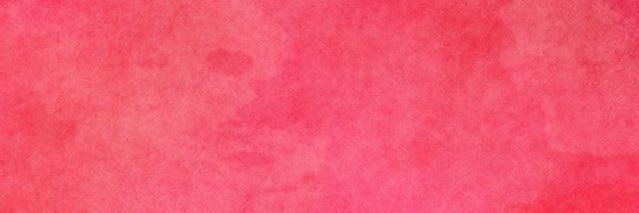 danisaho's profile banner image