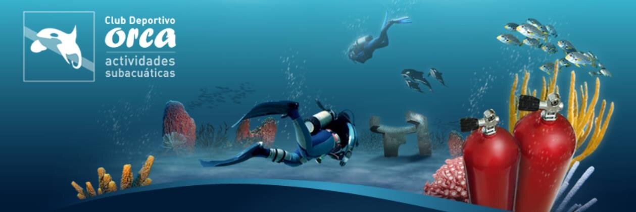 ClubOrca's profile banner image
