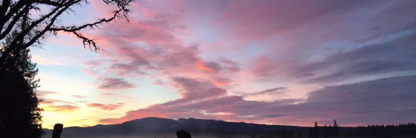 AlliStudnick's profile banner image