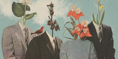 micaserbali's profile banner image