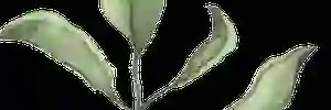 Pikkio1972's profile banner image
