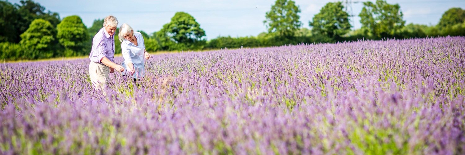Castle Farm, Kent banner