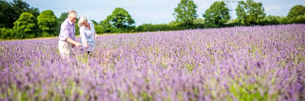 CastleFarmKent Profile Banner
