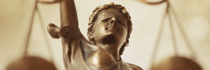 Luana Silva banner