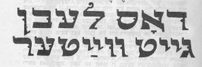 Maria Benaim. 🎗️🌻  banner