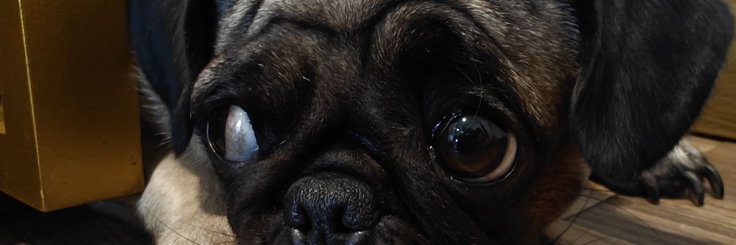 Handyhake's profile banner image