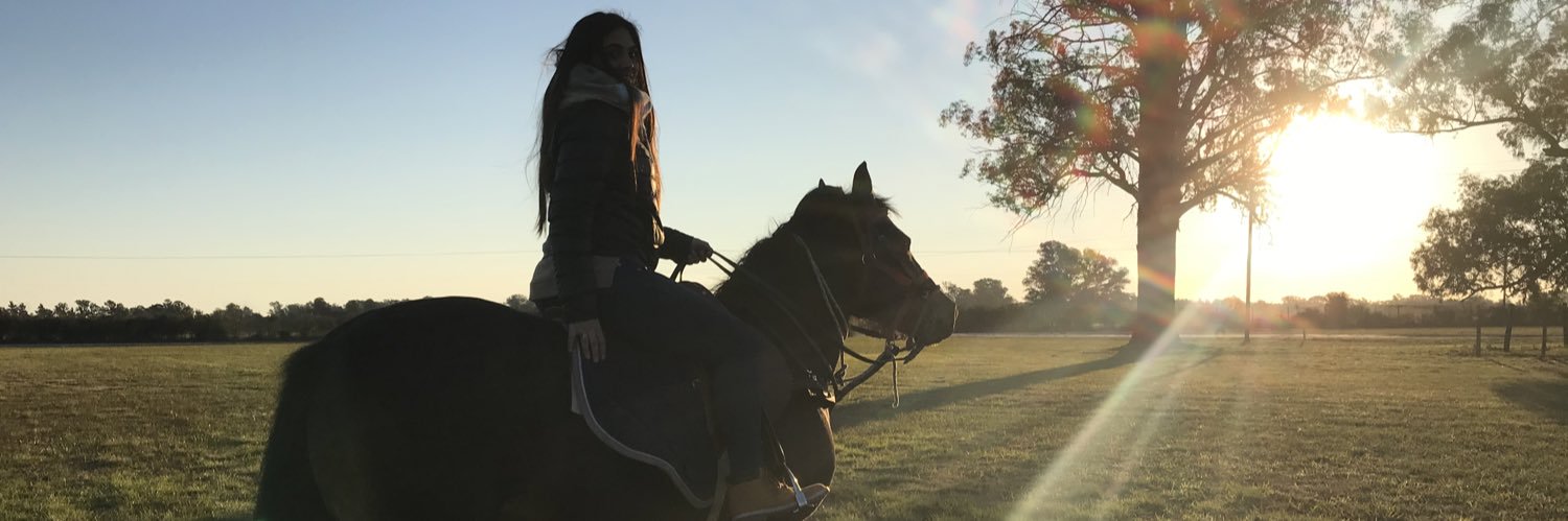 towntini's profile banner image