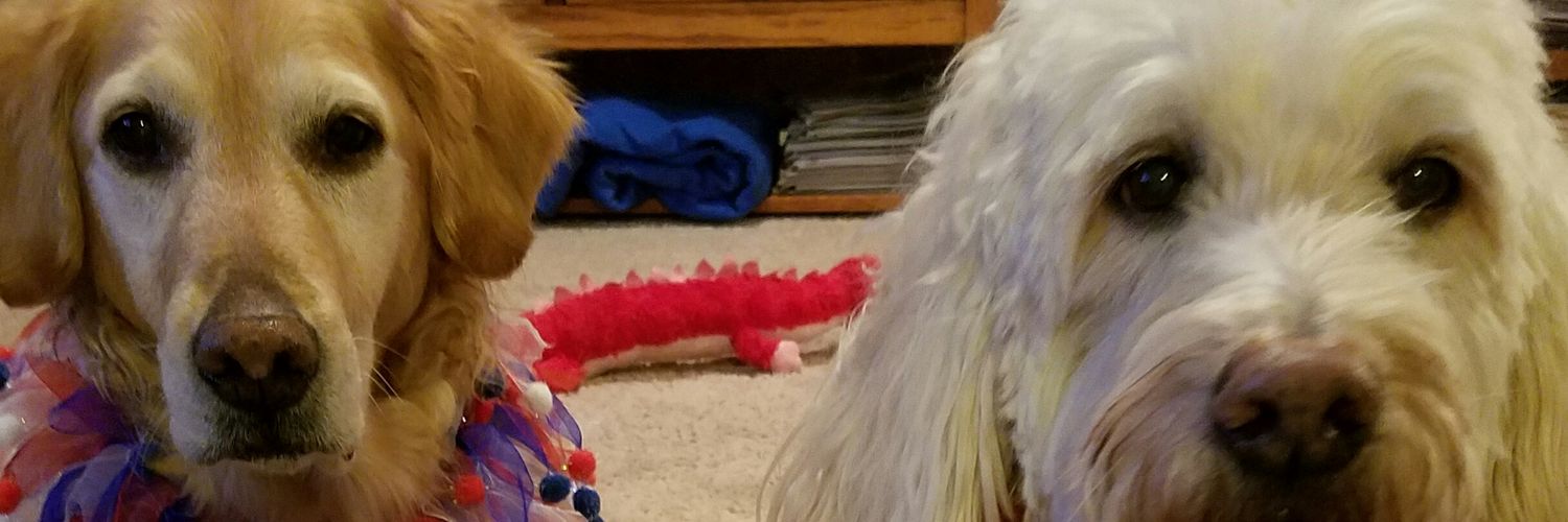 leeper1985's profile banner image