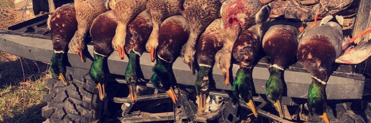 T_Dortch16's profile banner image
