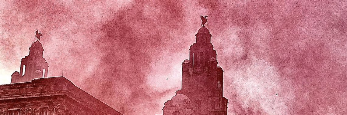 upthereds's profile banner image