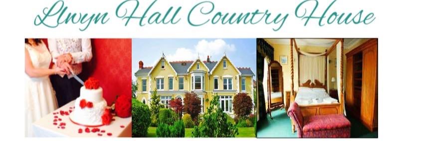 llwynhall's profile banner image