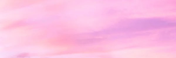 elstorton_'s profile banner image