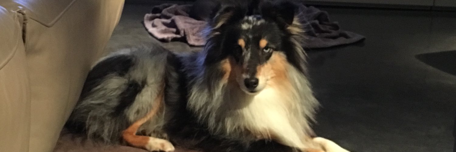 bhuens's profile banner image
