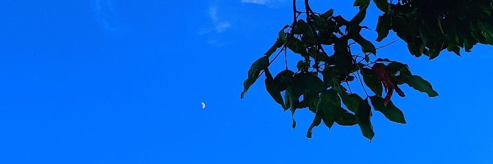 girllunatica_'s profile banner image