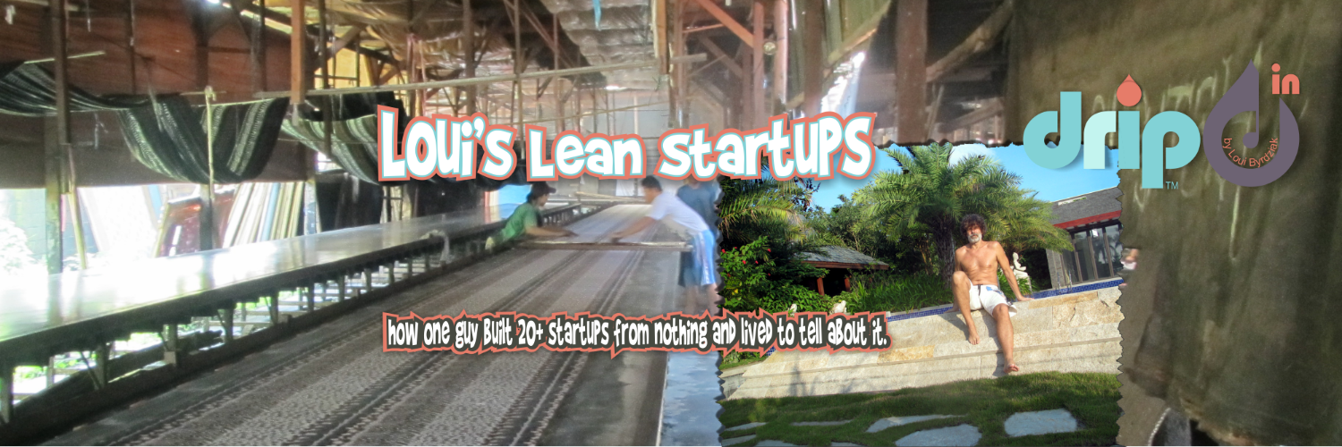 LeanLouiStartup's profile banner image