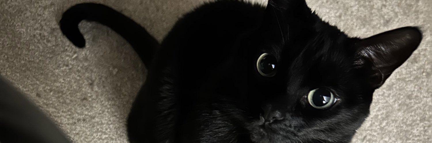 raaaayr_'s profile banner image