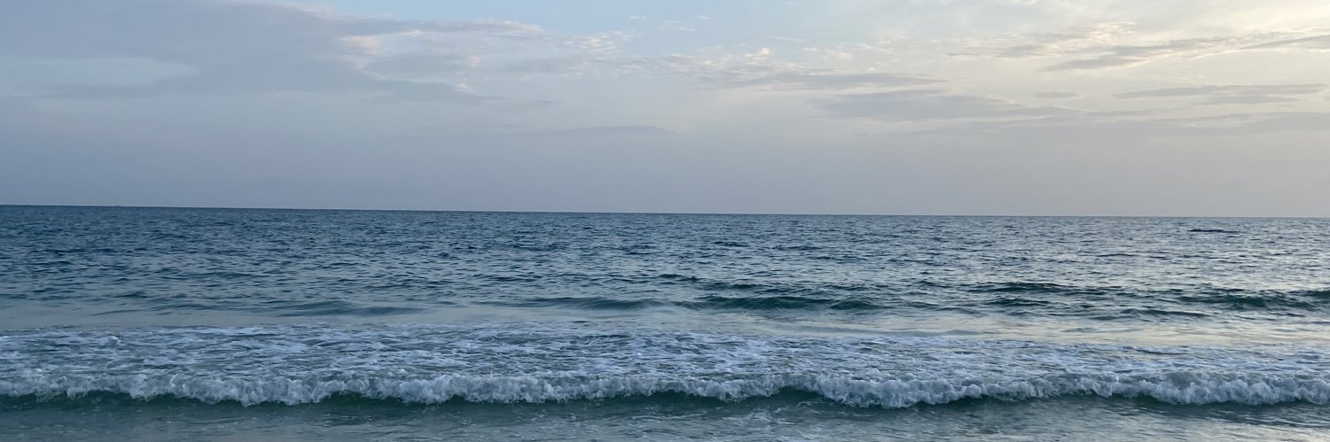 MallorieClark's profile banner image