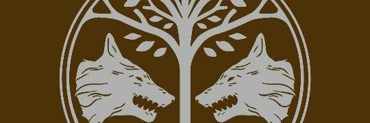 idkstuffig's profile banner image