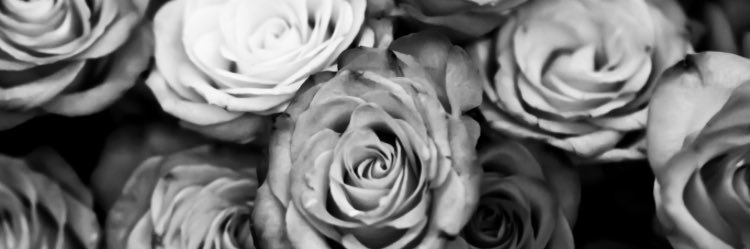 kendalldonelan's profile banner image