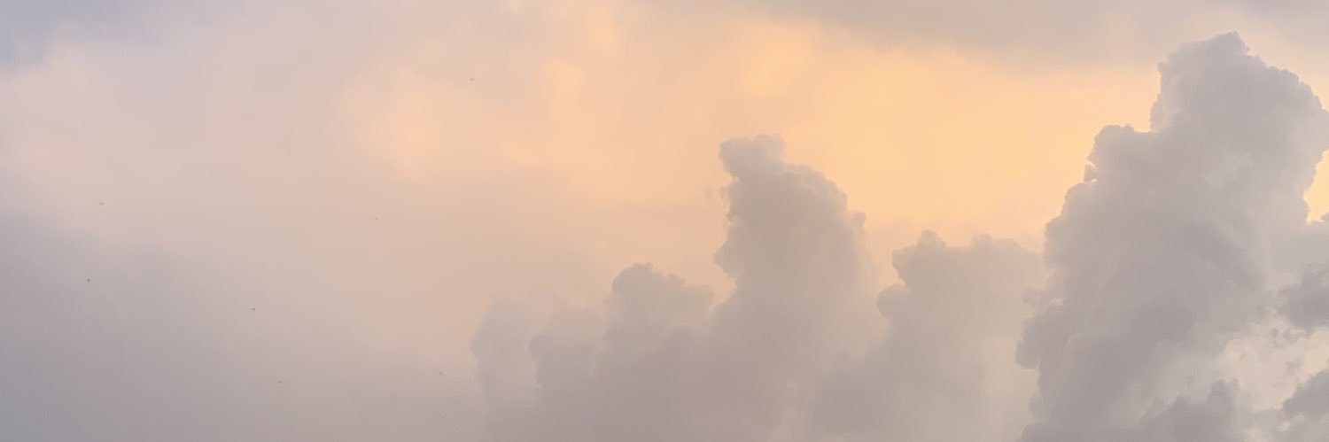 Shaimaalth's profile banner image