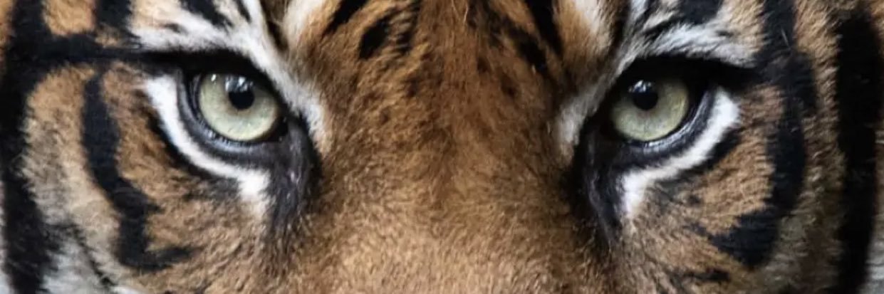 RANGO147's profile banner image