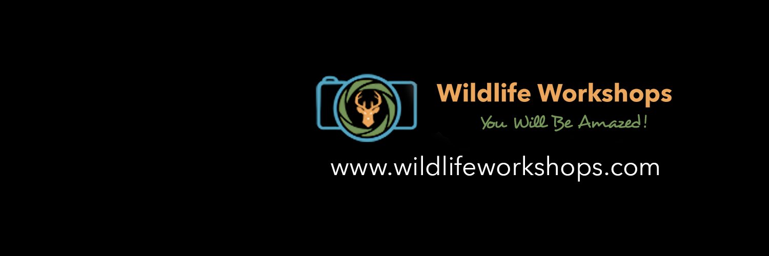 photo__workshop's profile banner image