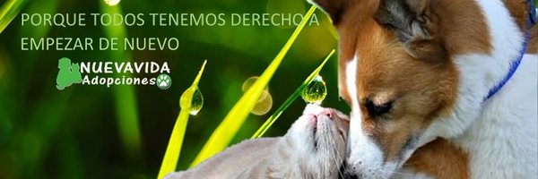 NuevaVidaAdop Profile Banner