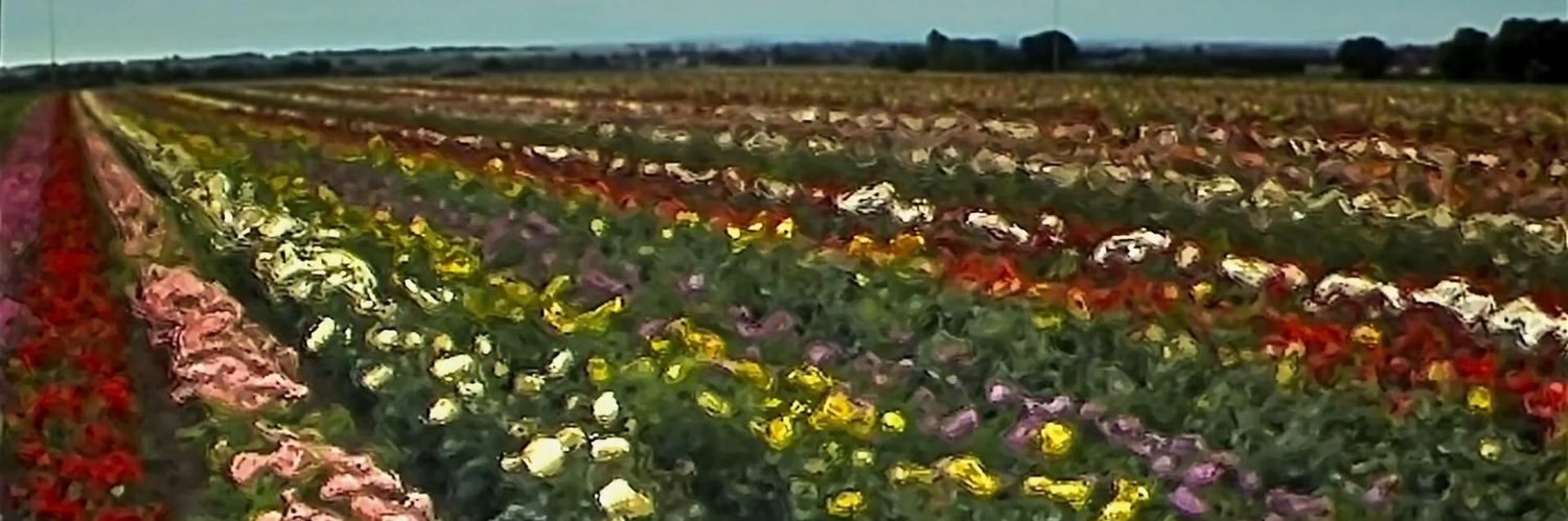 uwhenyouregone's profile banner image