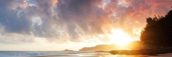 BelserTomeko's profile banner image