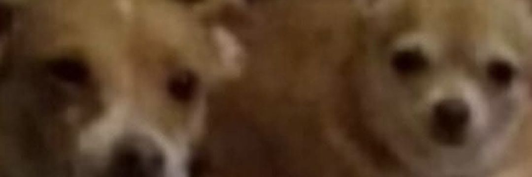 TxJenne's profile banner image