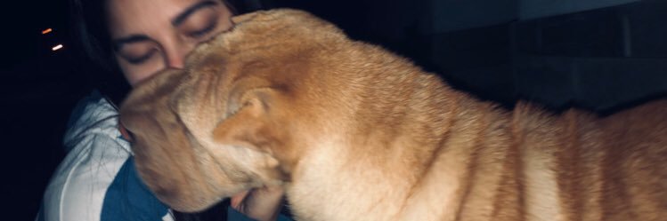 julimaldonado6's profile banner image