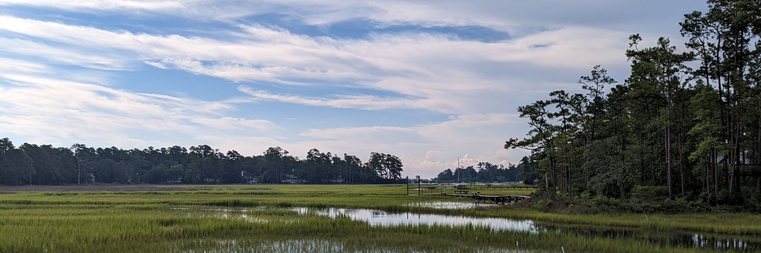 DatWayne from NC 🇺🇸 banner